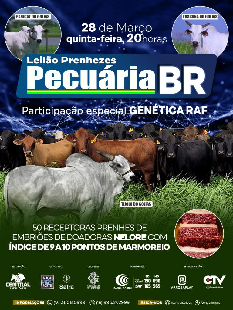 LEILÃO DE PRENHEZES PECUÁRIA BR