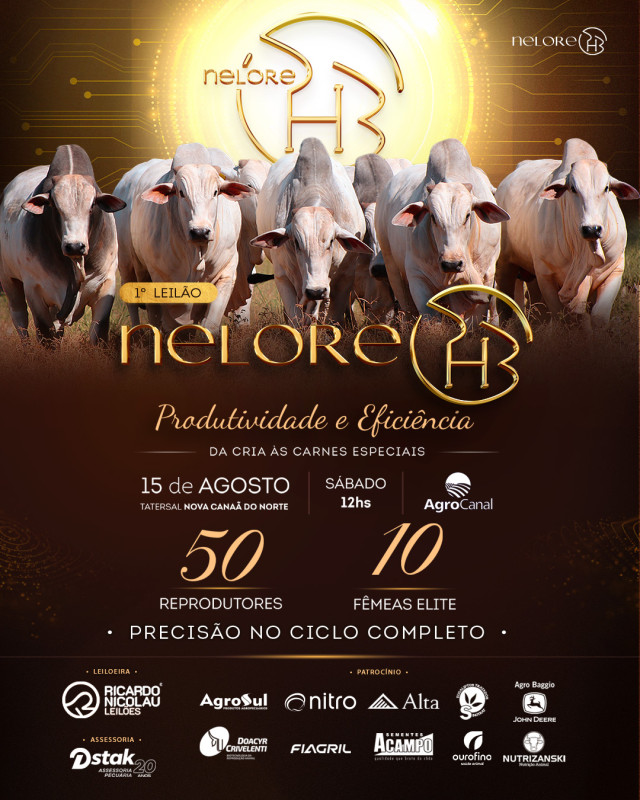 1º LEILÃO PRESENCIAL TOUROS NELORE PHB