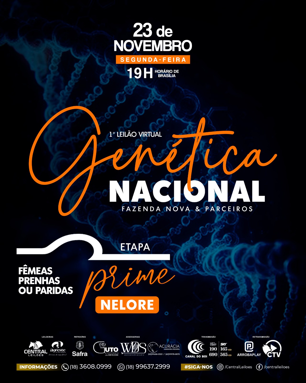 1º LEILÃO VIRTUAL GENÉTICA NACIONAL - FAZENDA NOVA & PARCEIROS - ETAPA PRIME