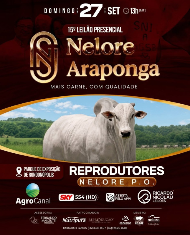 15º LEILÃO NELORE ARAPONGA