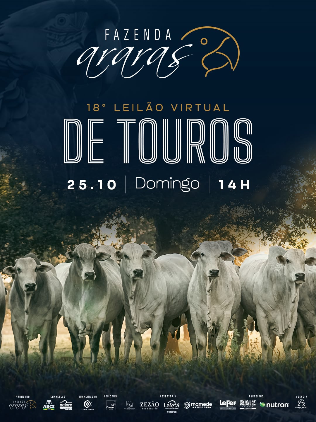 18º LEILÃO DE TOUROS FAZENDA ARARAS