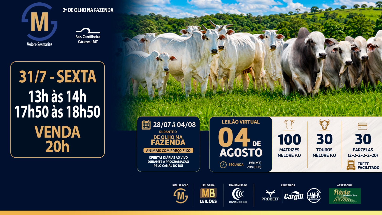 2º DE OLHO NA FAZENDA NELORE SESMARIAS