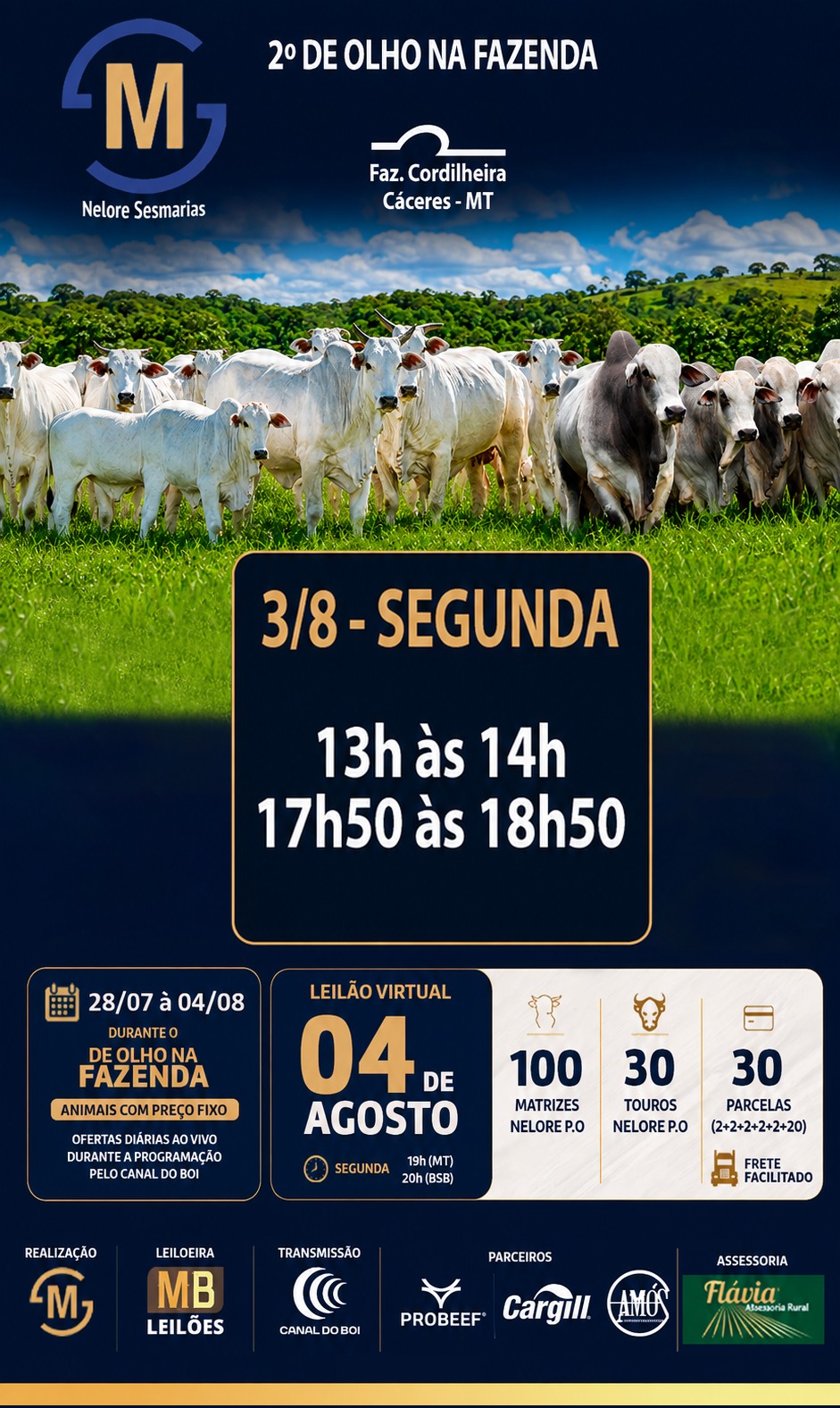 2º DE OLHO NA FAZENDA NELORE SESMARIAS