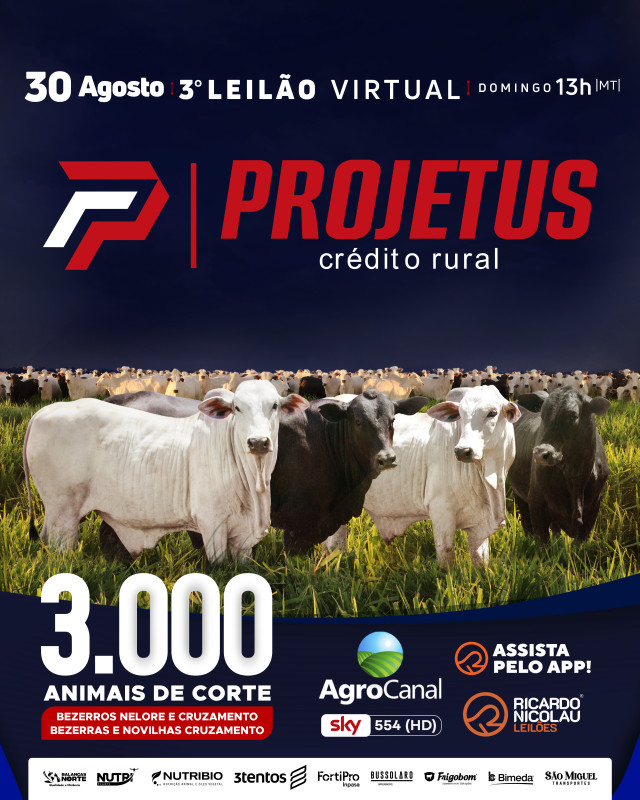 3º LEILÃO VIRTUAL PROJETUS + CONVIDADOS