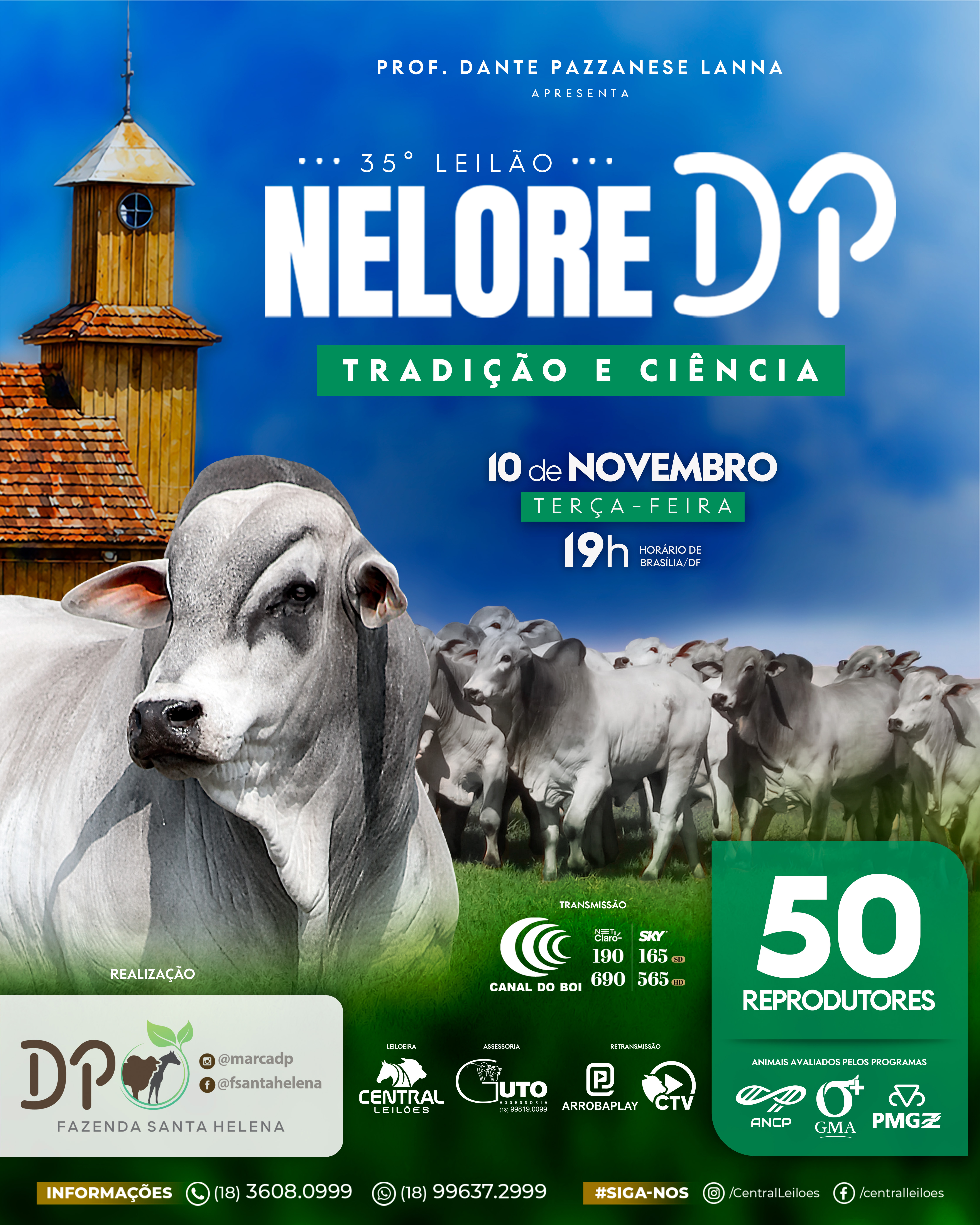 35º LEILÃO NELORE DP TRADIÇÃO E CIÊNCIA - ETAPA TOUROS