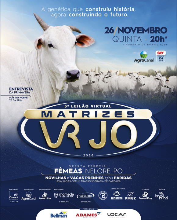 5º LEILÃO VIRTUAL MATRIZES VRJO