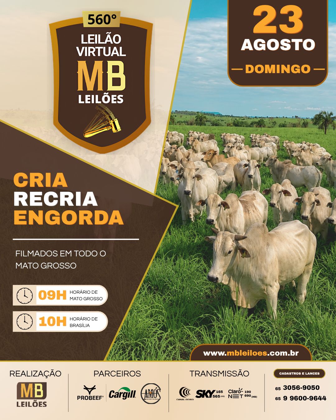560º LEILÃO VIRTUAL MB LEILÕES