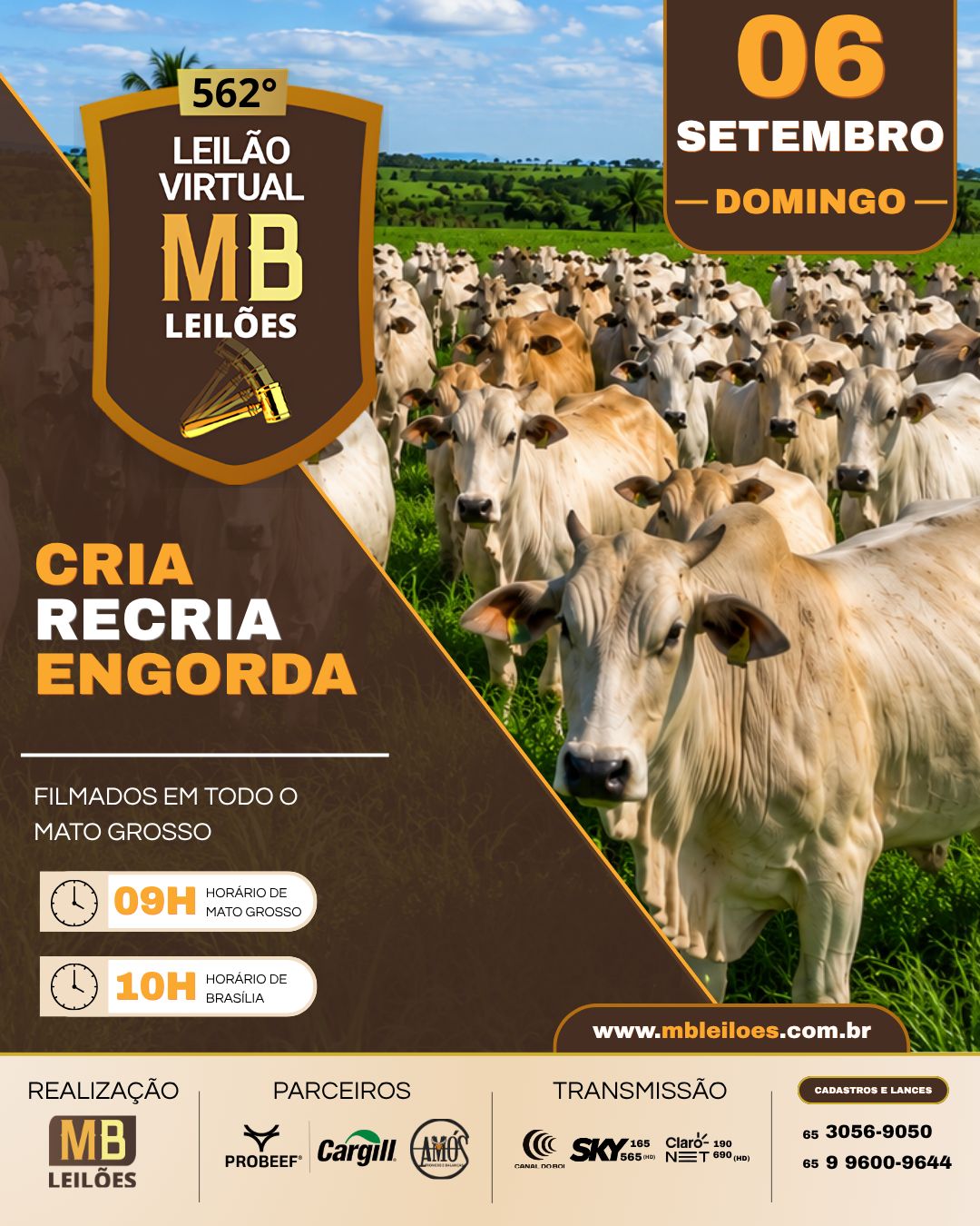 562º LEILÃO VIRTUAL MB LEILÕES