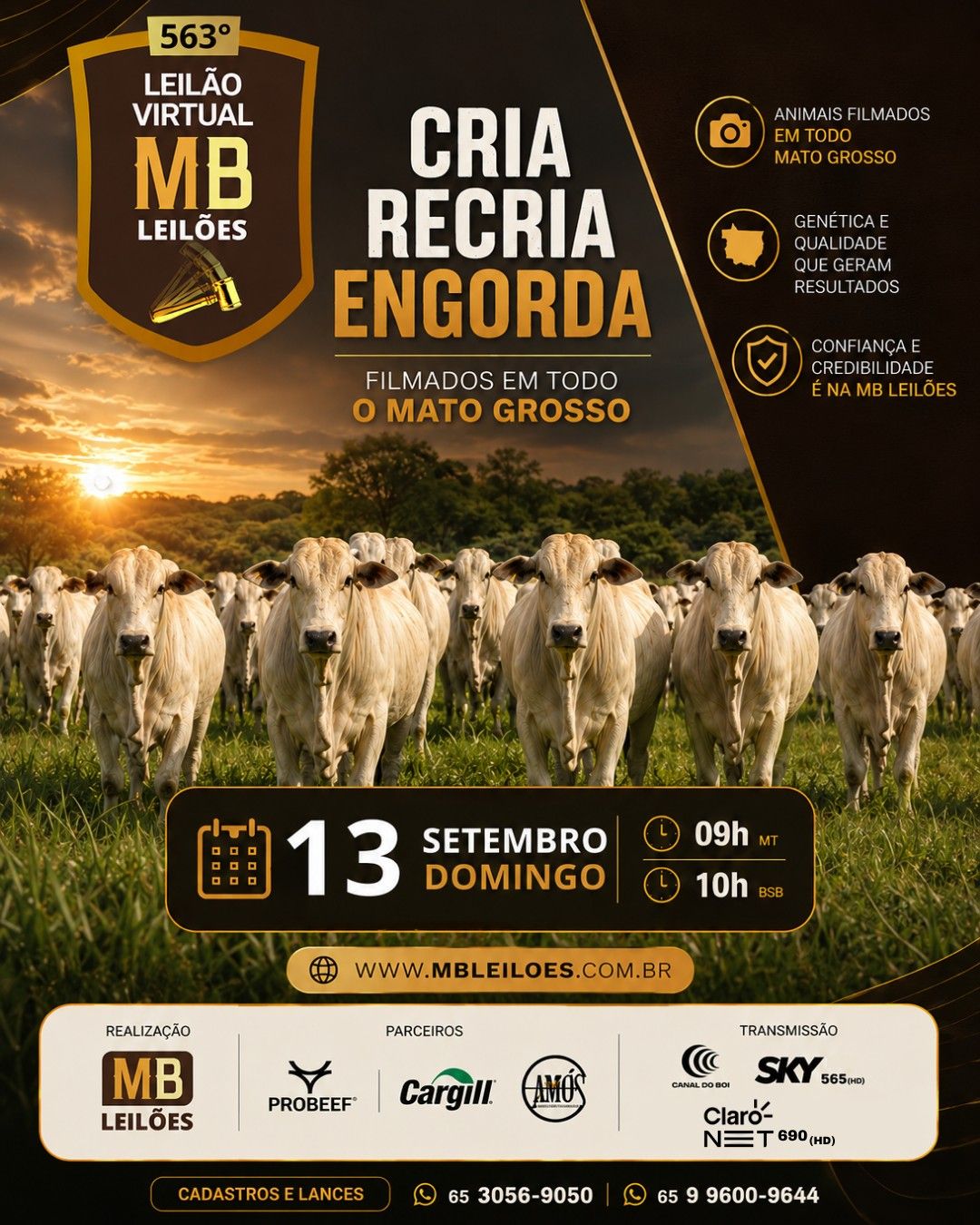 563º LEILÃO VIRTUAL MB LEILÕES