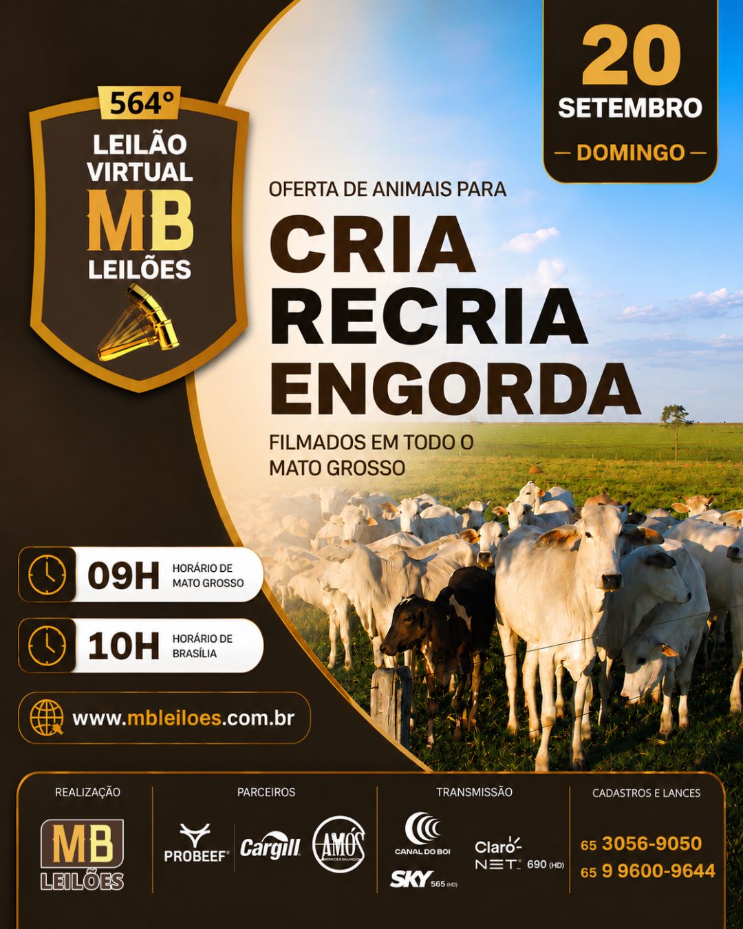 564º LEILÃO VIRTUAL MB LEILÕES