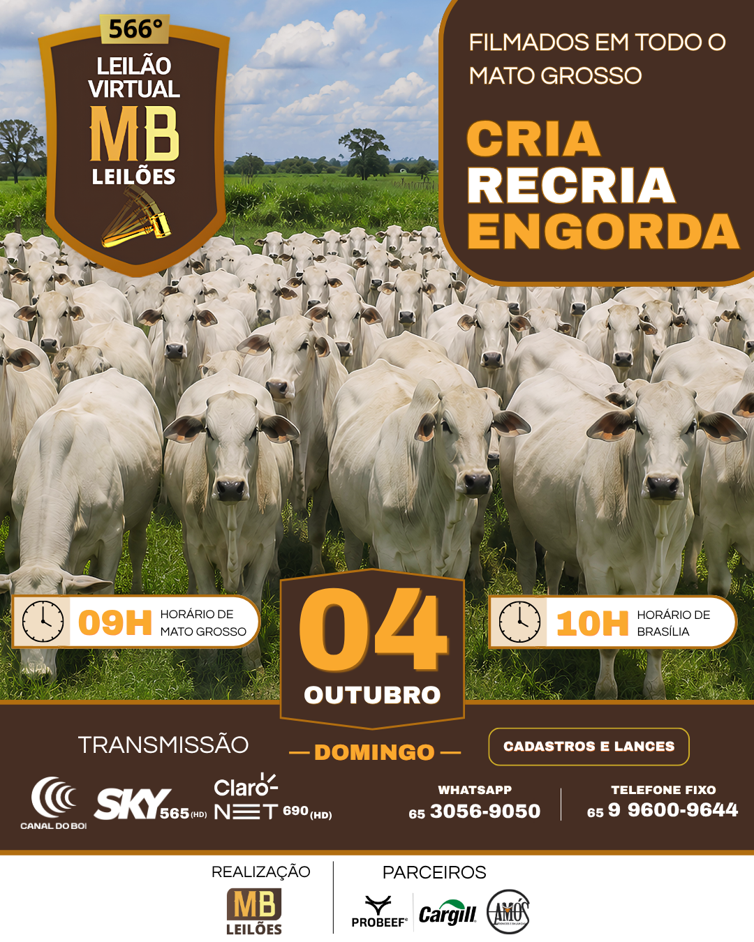 566º LEILÃO VIRTUAL MB LEILÕES