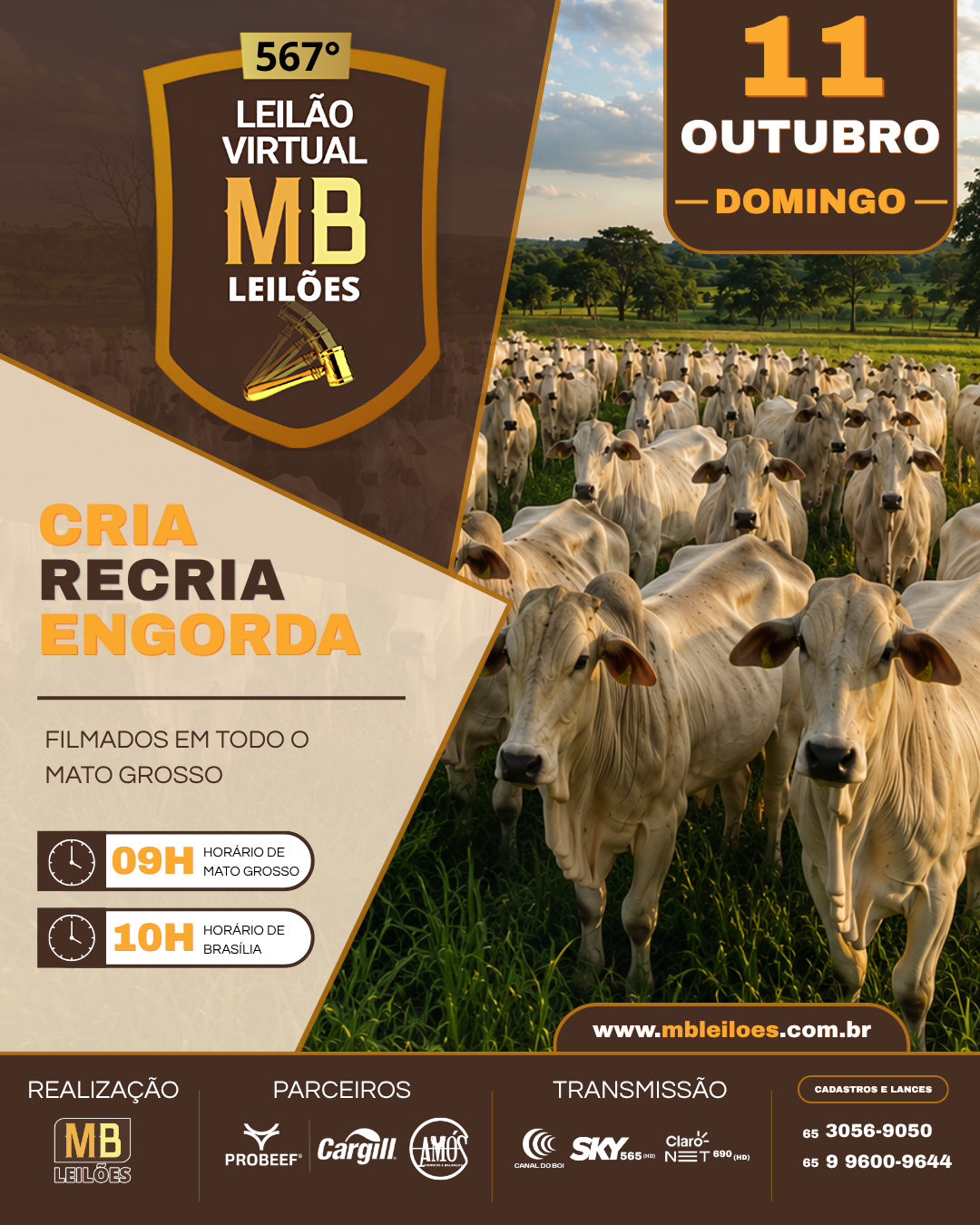 567º LEILÃO VIRTUAL MB LEILÕES