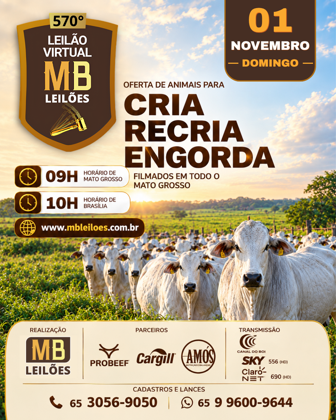 570º LEILÃO VIRTUAL MB LEILÕES