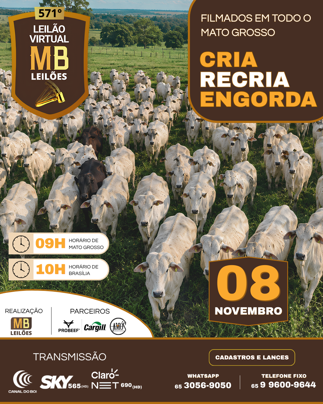 571º LEILÃO VIRTUAL MB LEILÕES