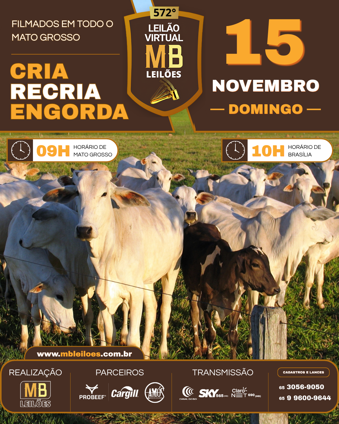 572º LEILÃO VIRTUAL MB LEILÕES