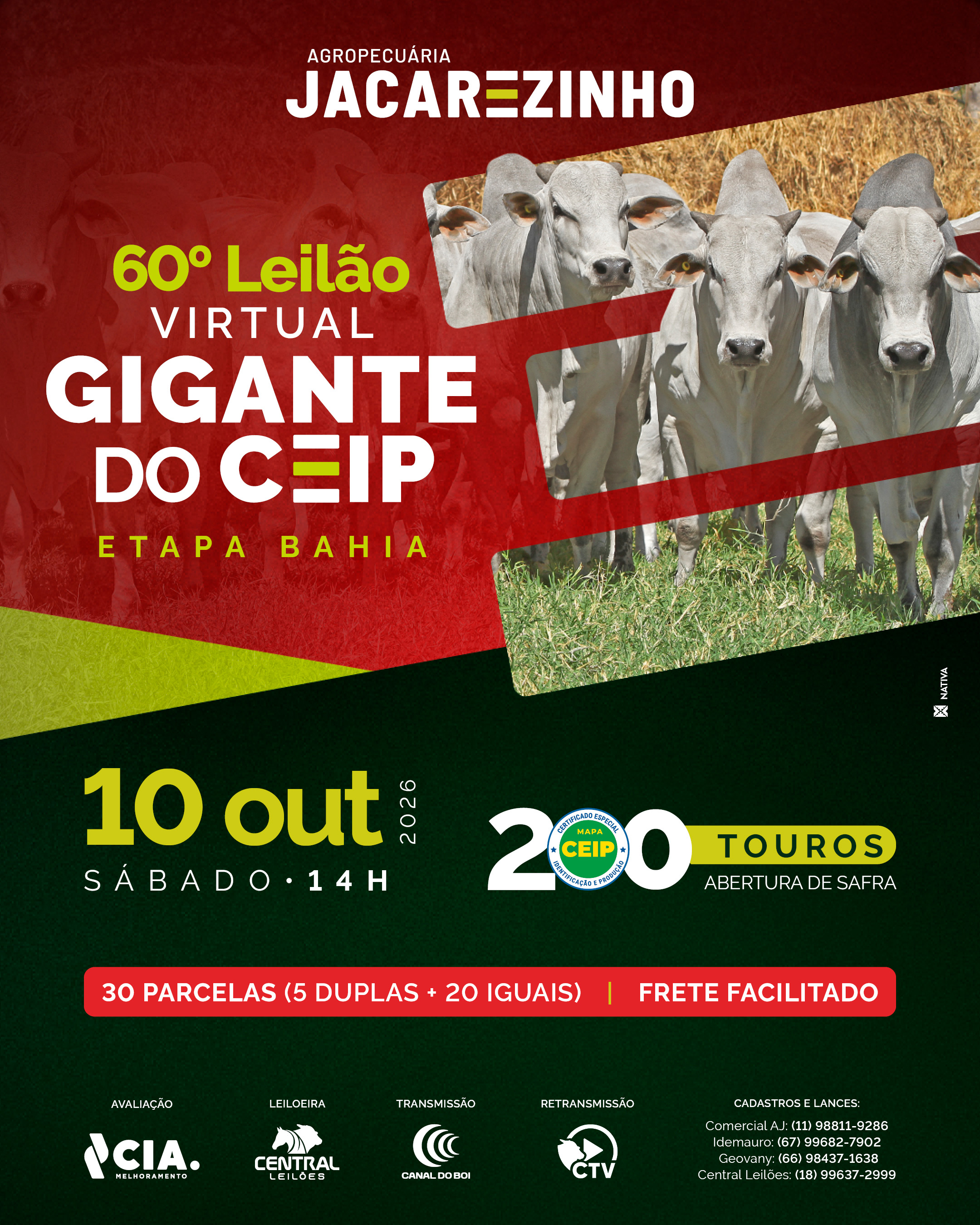 60º LEILÃO GIGANTE DO CEIP - AGROPECUARIA JACAREZINHO - ETAPA BAHIA