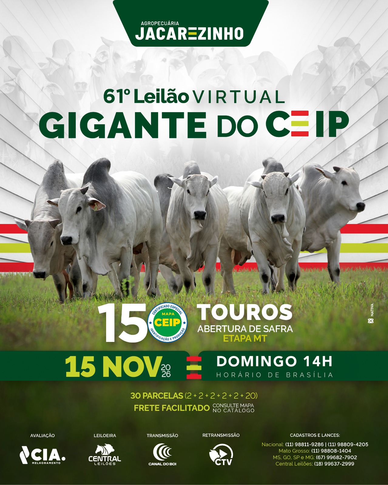 61º LEILÃO VIRTUAL GIGANTE DO CEIP - AGROPECUÁRIA JACAREZINHO
