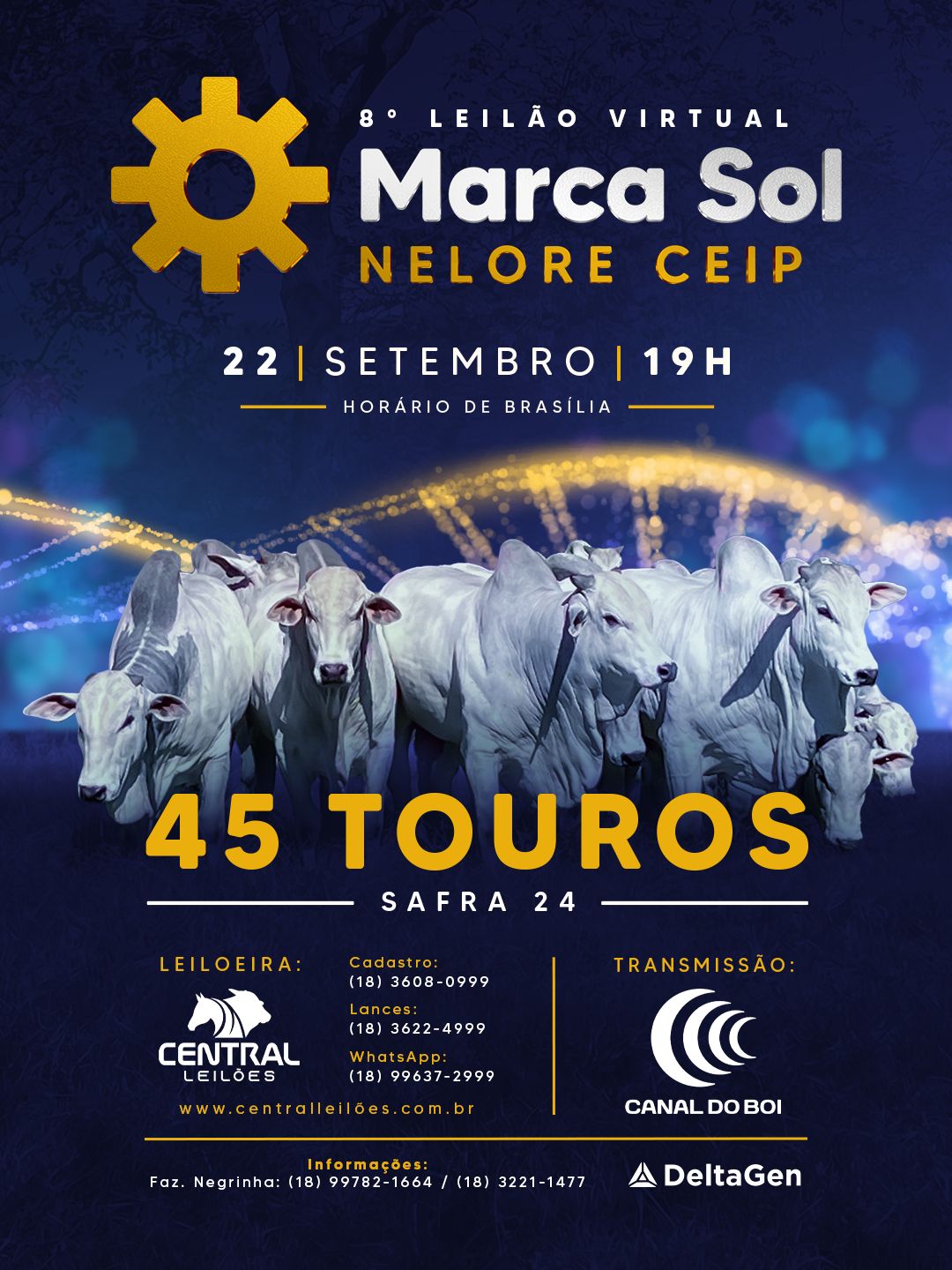 8º LEILÃO MARCA SOL