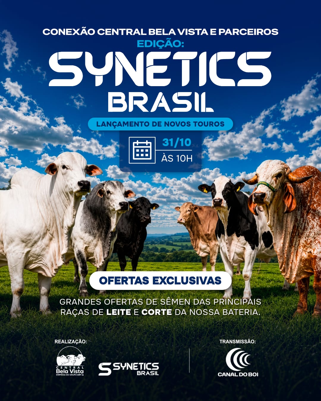 CONEXÃO BELA VISTA E PARCEIROS - SYNETICS BRASIL