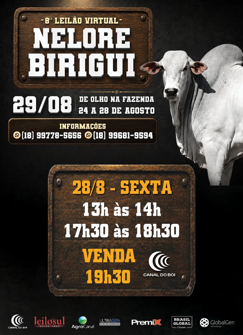 DE OLHO NA FAZENDA - 8º LEILÃO NELORE BIRIGUI