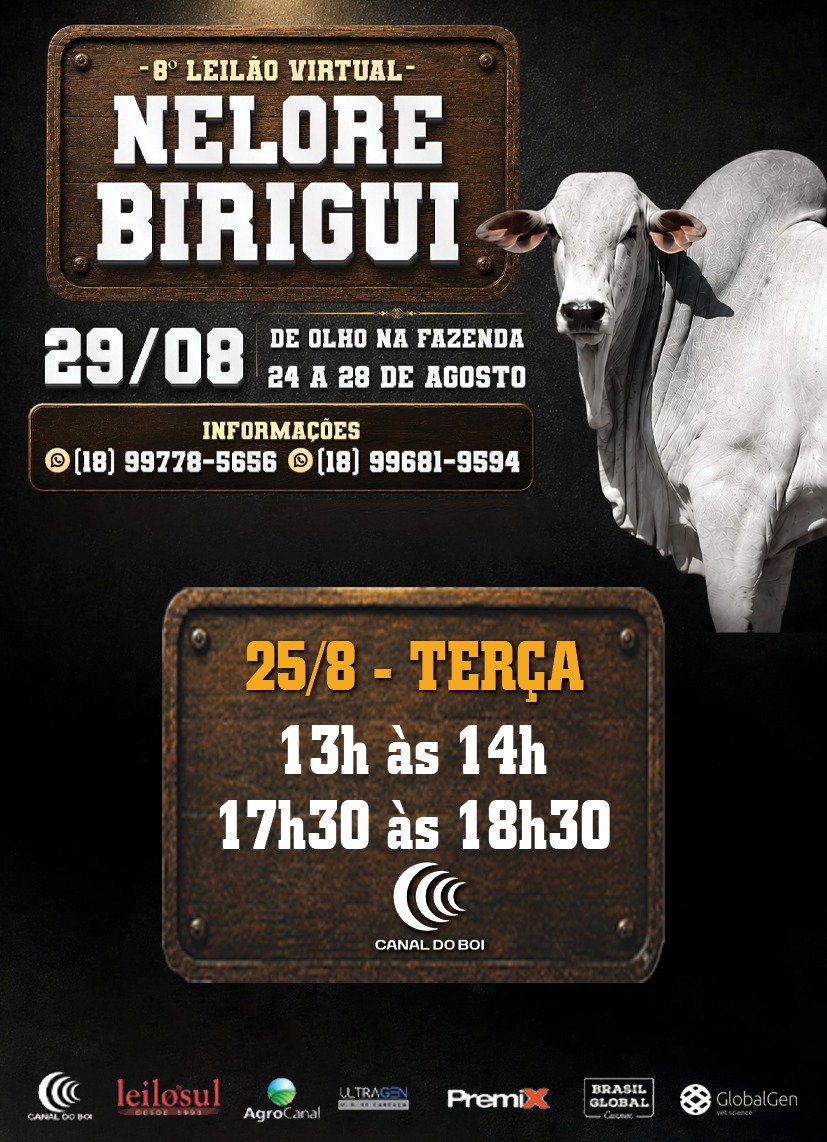 DE OLHO NA FAZENDA - 8º LEILÃO NELORE BIRIGUI