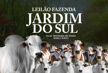 LEILÃO FAZENDA JARDIM DO SUL