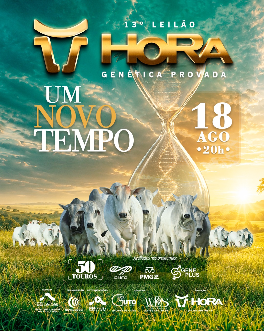 13º LEILÃO GENÉTICA TOUROS NELORE HORA