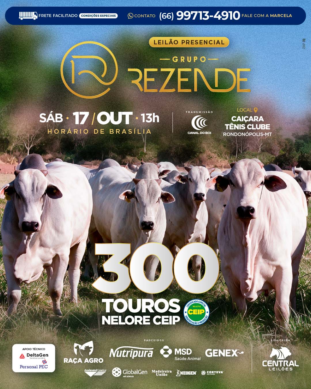 LEILÃO GRUPO REZENDE