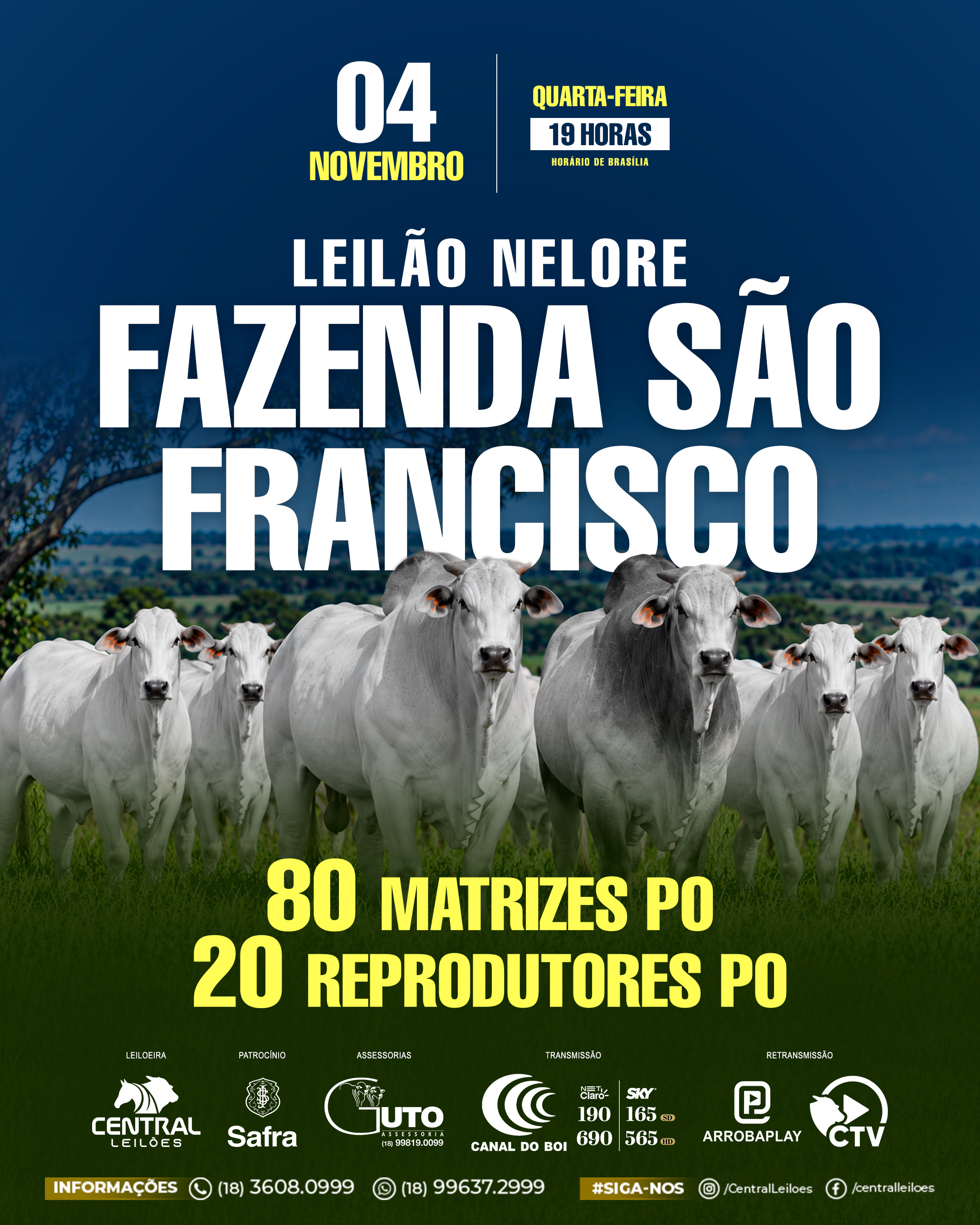 LEILÃO NELORE FAZENDA SÃO FRANCISCO