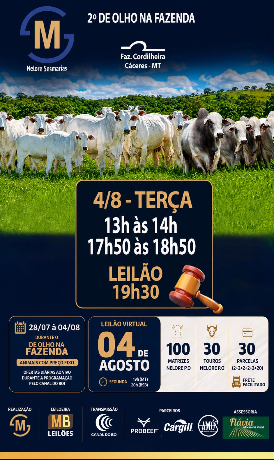 LEILÃO NELORE SESMARIAS