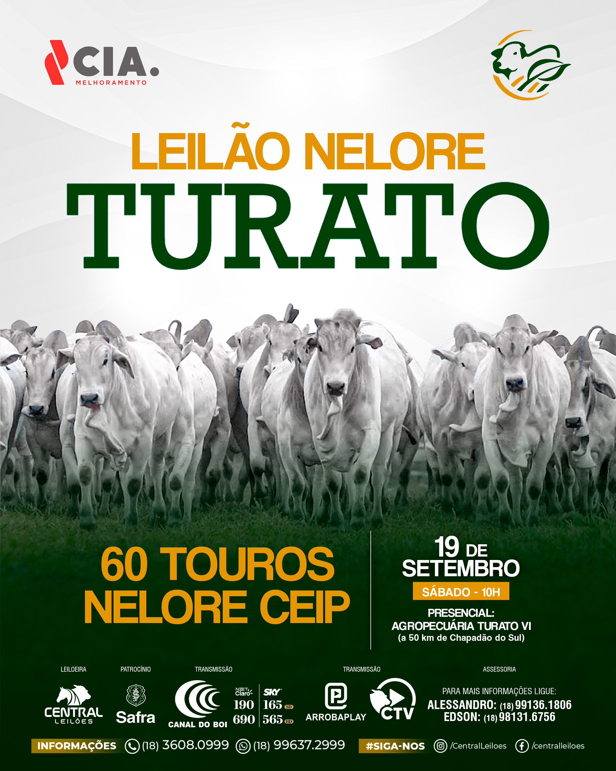 LEILÃO NELORE TURATO
