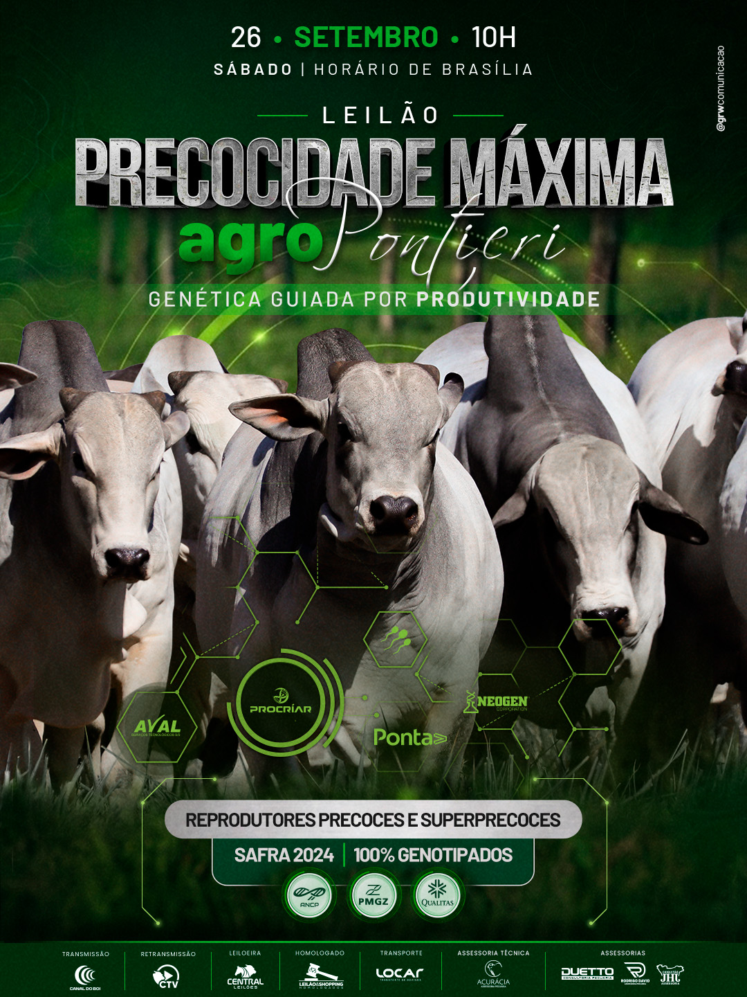 LEILÃO PRECODIDADE MÁXIMA - AGRO PONTIERI