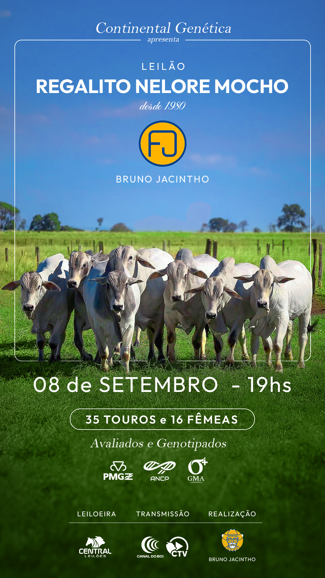 LEILÃO REGALITO NELORE MOCHO