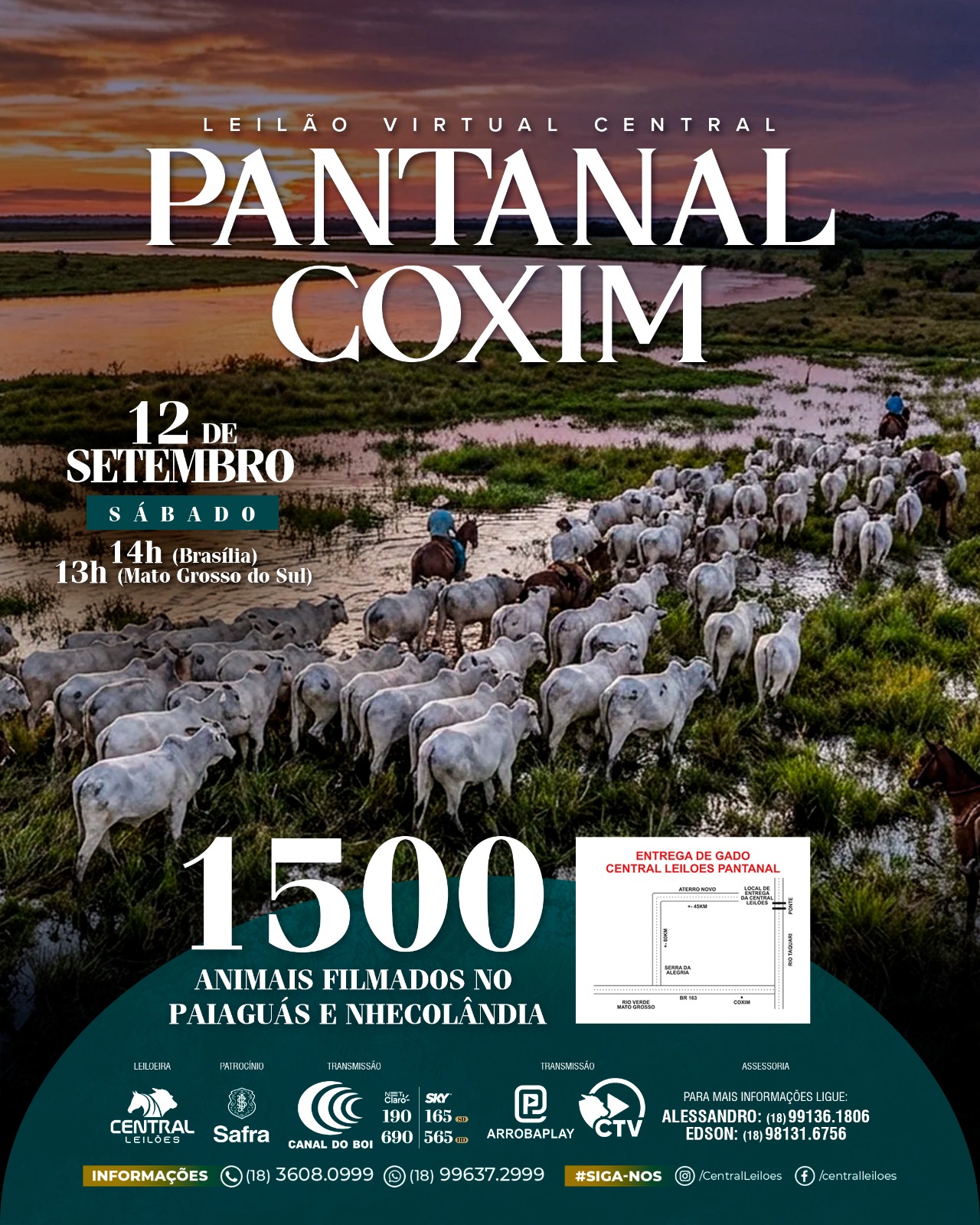 LEILÃO VIRTUAL CENTRAL PANTANAL COXIM