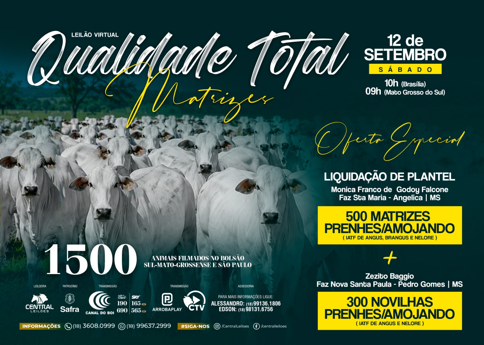 LEILÃO VIRTUAL QUALIDADE TOTAL MATRIZES