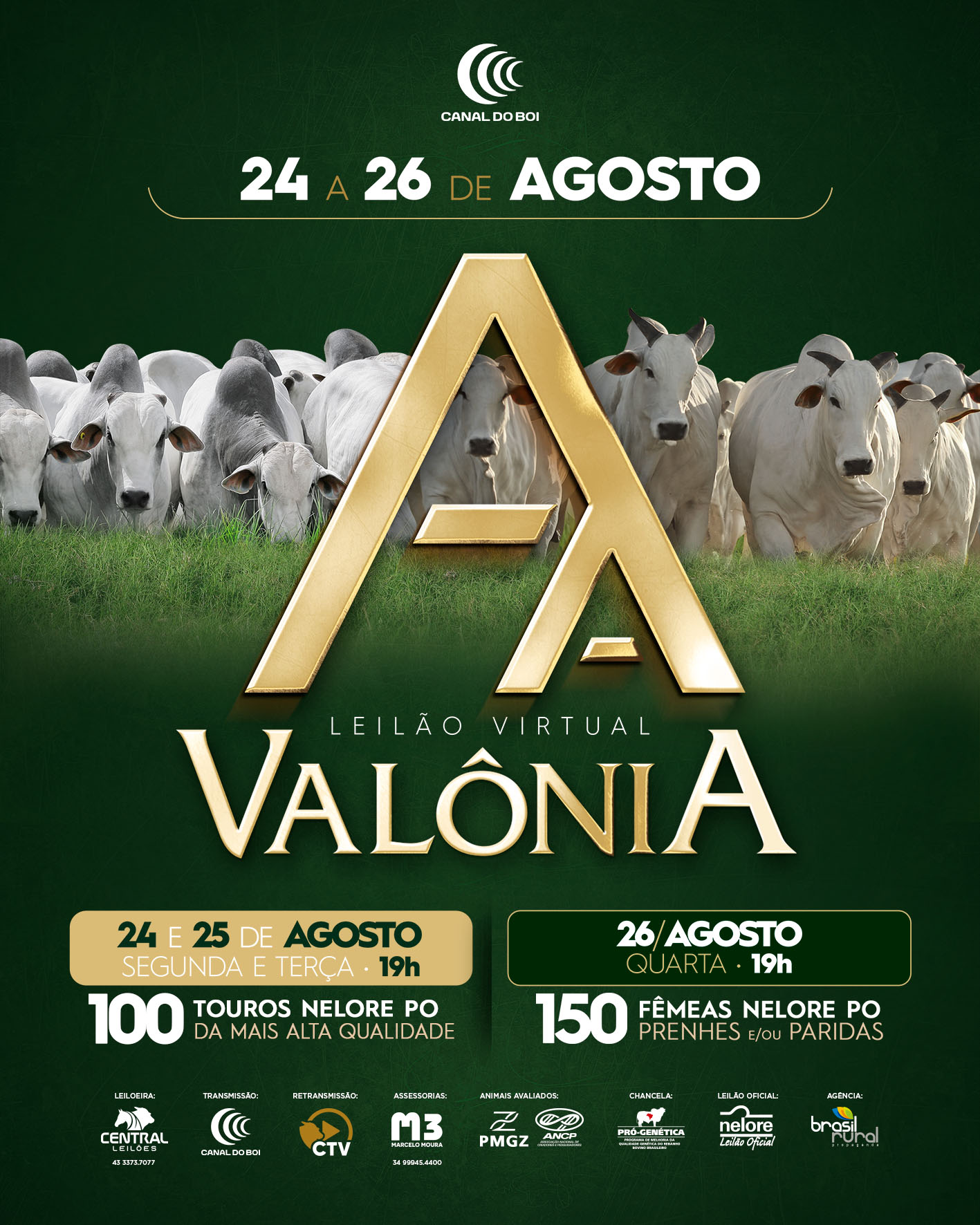 LEILÃO VIRTUAL VALÔNIA - TOUROS