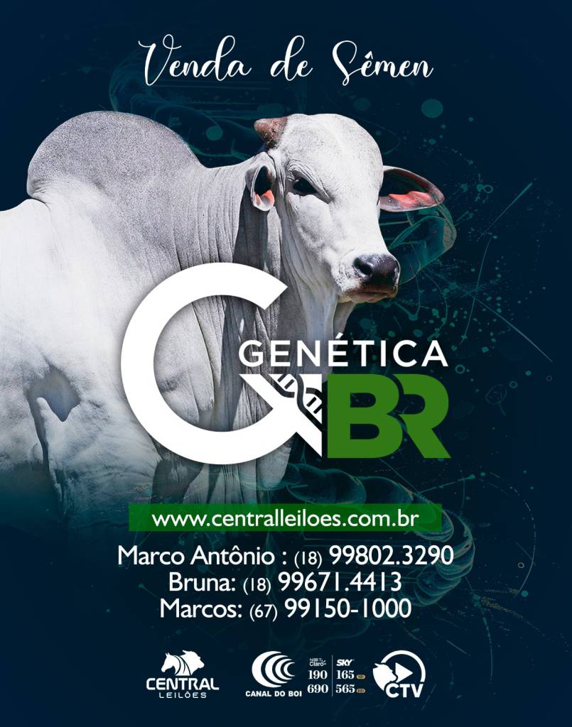 VENDA DE SÊMEN GENÉTICA BR